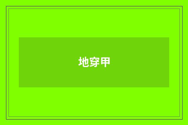 地穿甲