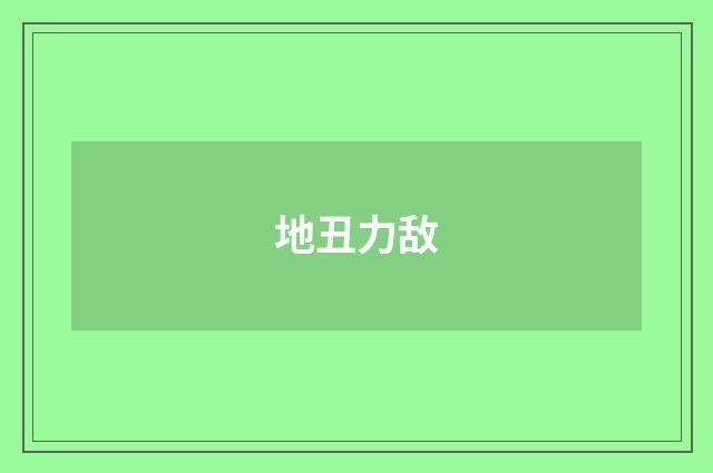 地丑力敌