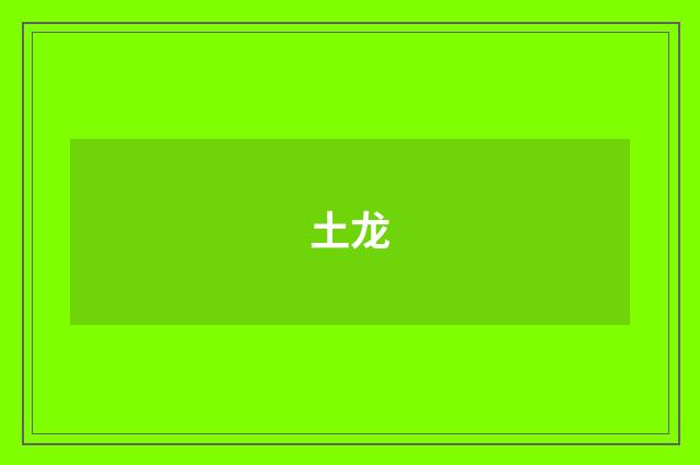 土龙
