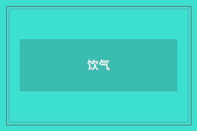饮气