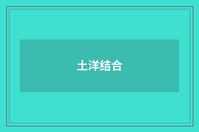 土洋结合