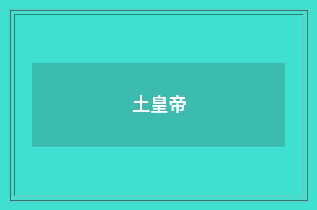 土皇帝