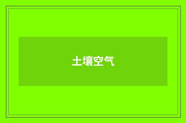 土壤空气