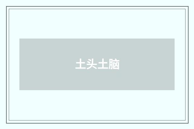 土头土脑