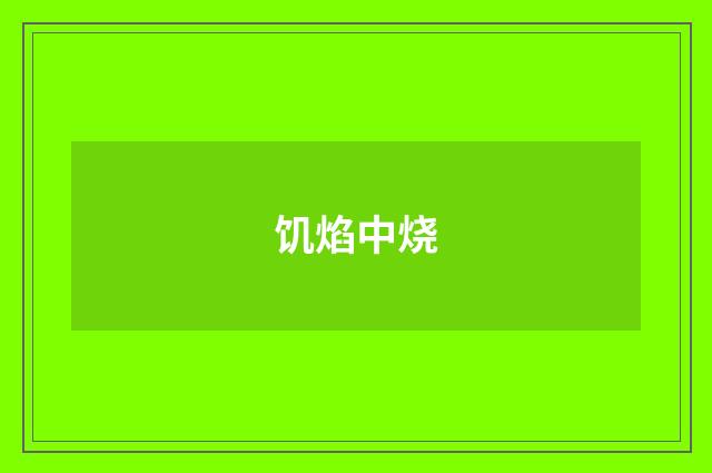 饥焰中烧