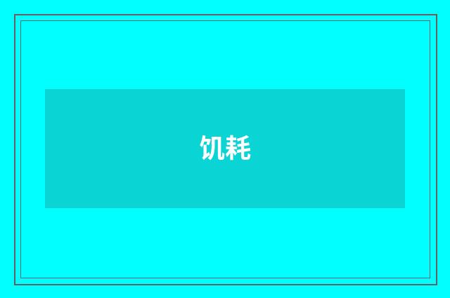 饥耗