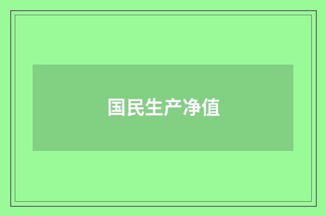 国民生产净值