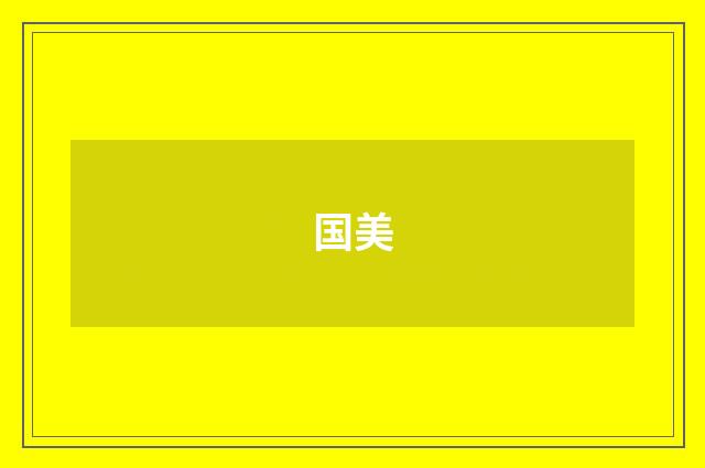 国美