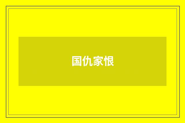 国仇家恨