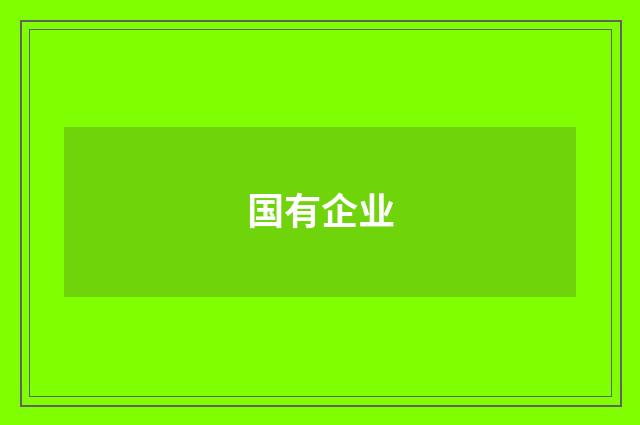 国有企业