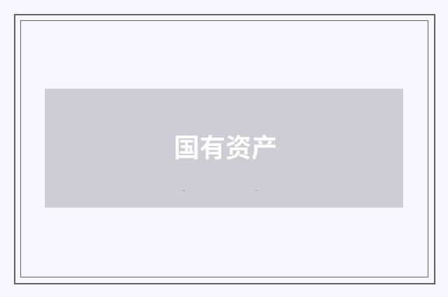 国有资产