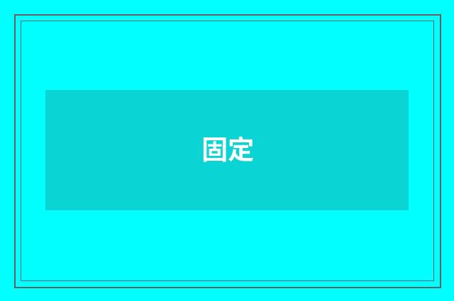 固定