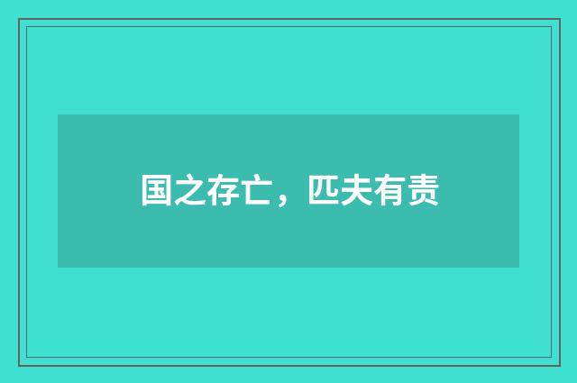 国之存亡，匹夫有责