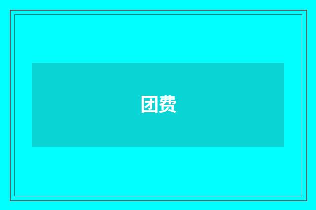 团费