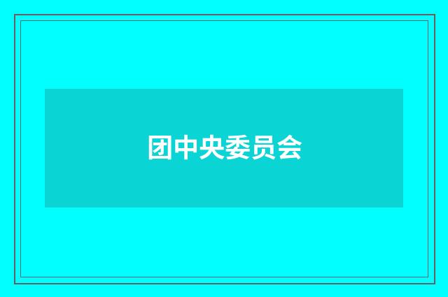 团中央委员会