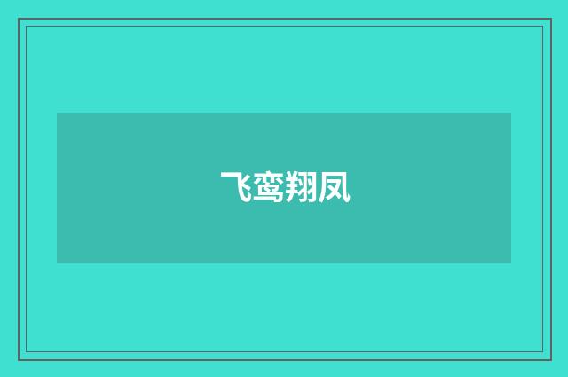 飞鸾翔凤
