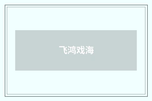 飞鸿戏海