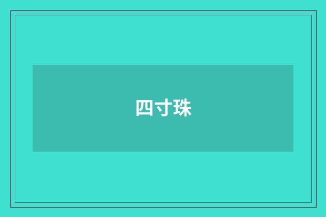 四寸珠