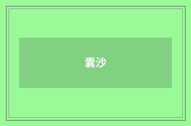 囊沙