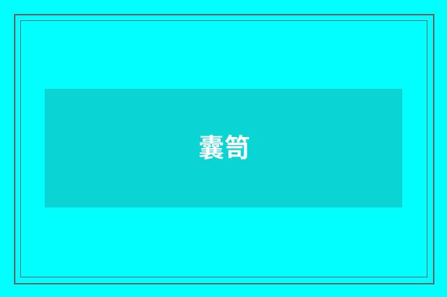 囊笥