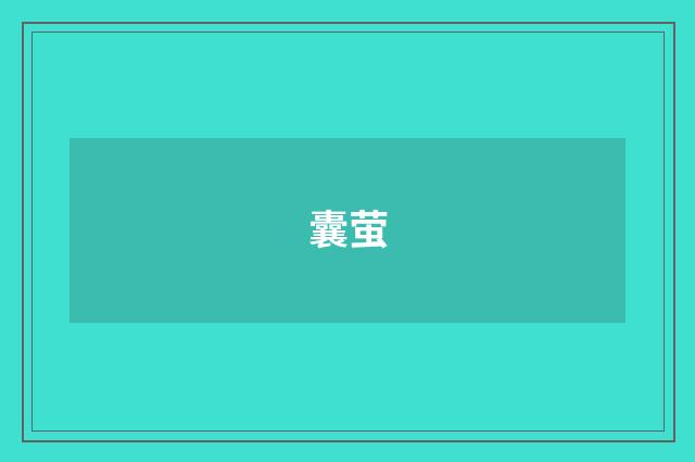 囊萤