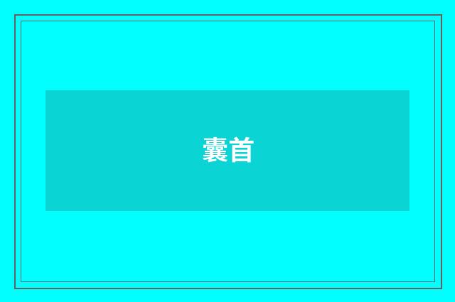 囊首