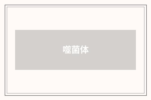 噬菌体