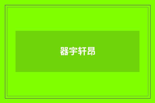 器宇轩昂