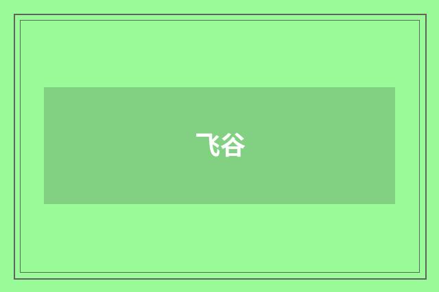 飞谷