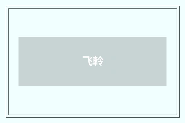 飞軨