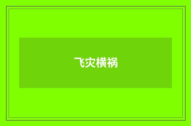 飞灾横祸