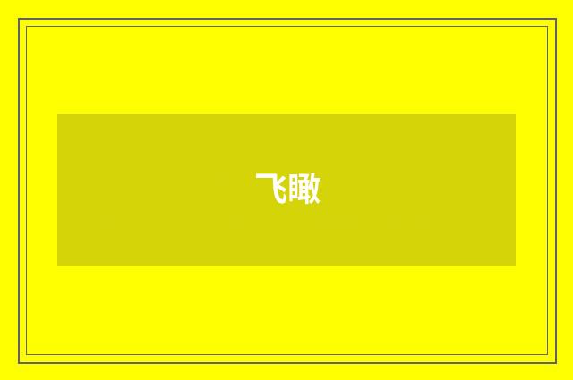 飞瞰