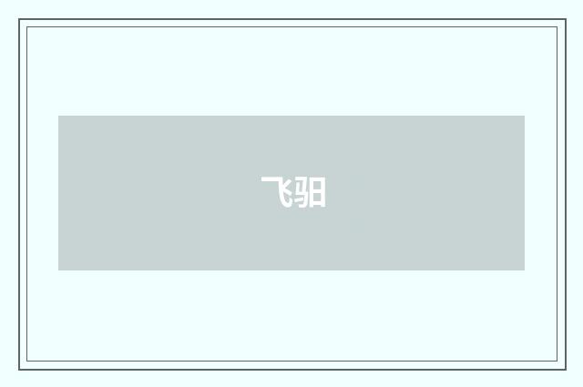 飞驲