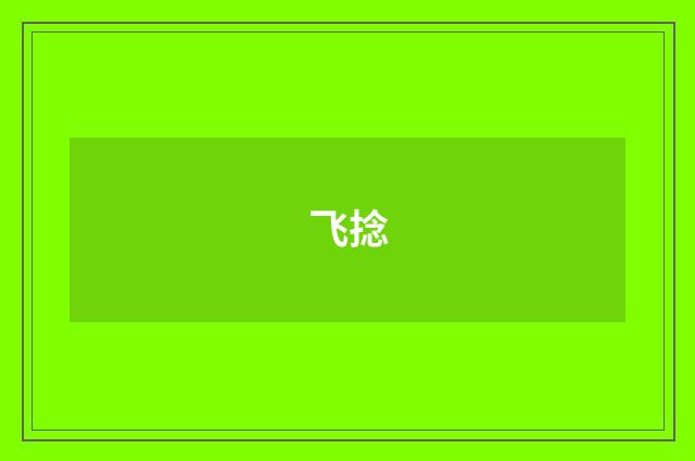 飞捻