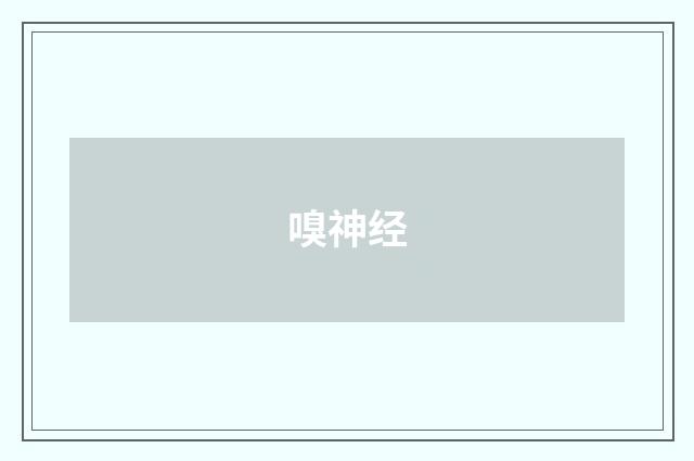 嗅神经