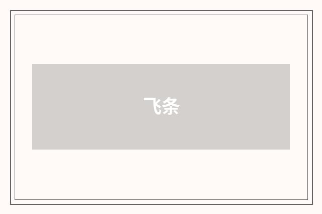 飞条