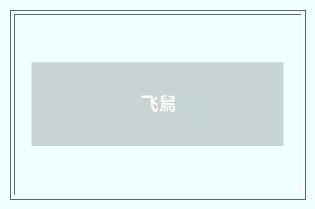 飞舃