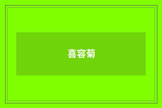 喜容菊