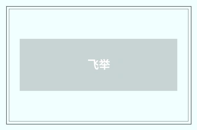 飞举