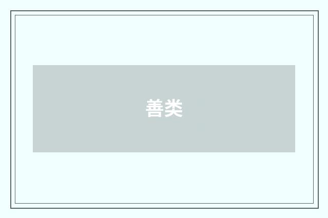 善类