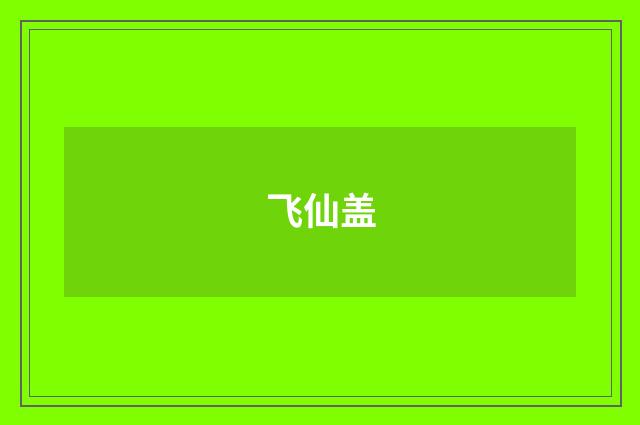 飞仙盖