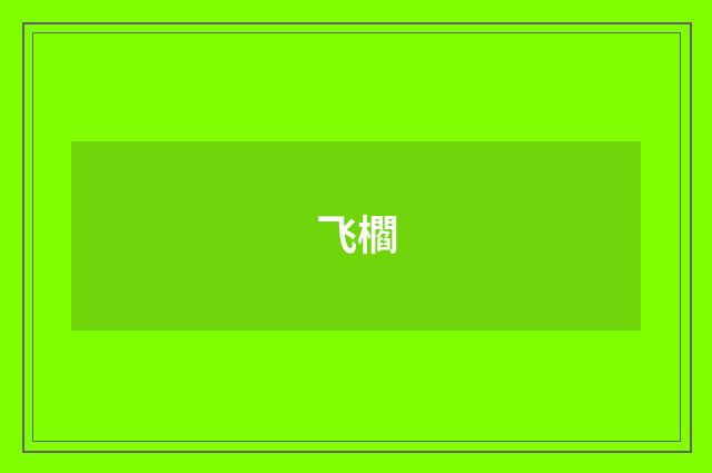飞櫩