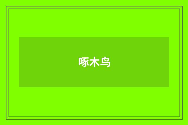 啄木鸟