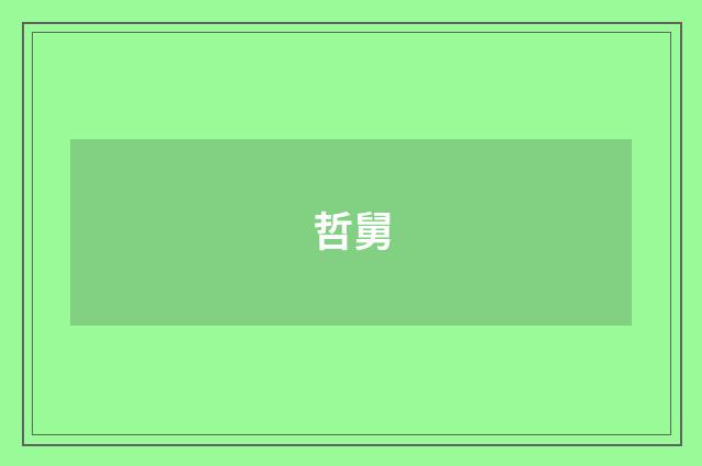 哲舅