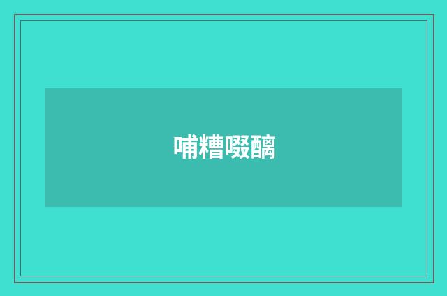 哺糟啜醨