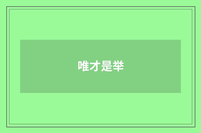 唯才是举