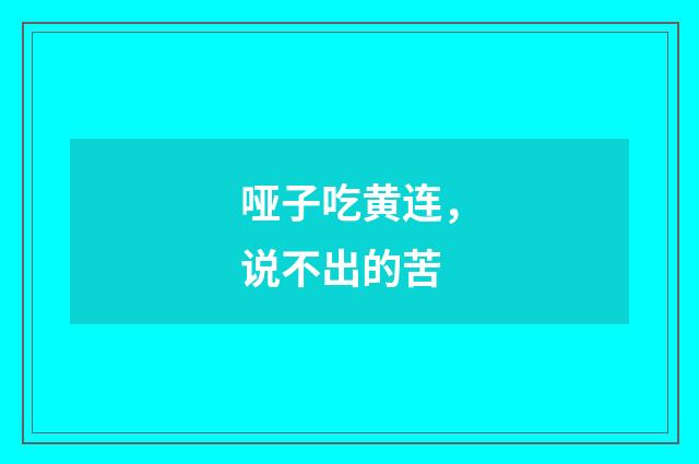 哑子吃黄连，说不出的苦