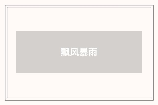 飘风暴雨