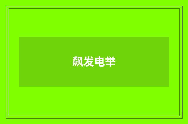 飙发电举