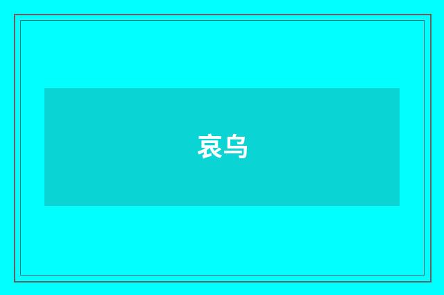 哀乌